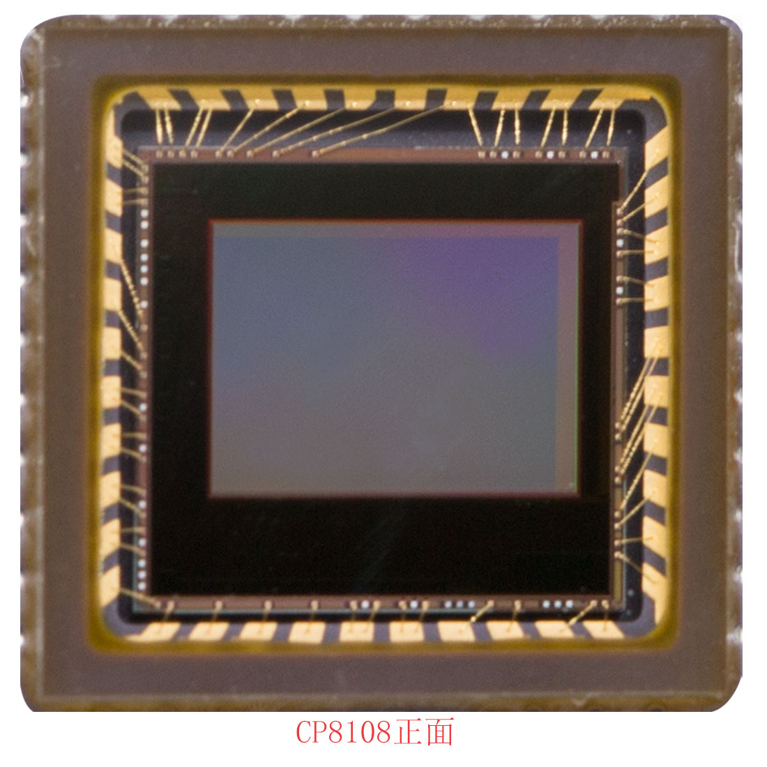 Wide dynamic camera module, CP8108, 120dB dynamic range camera, 800TVL, 1/3-inch Analog camera CMOS sensor, CLAIRPIXEL CMOS, CMOS made in Korea, video doorbell module, large pixel unit sensor