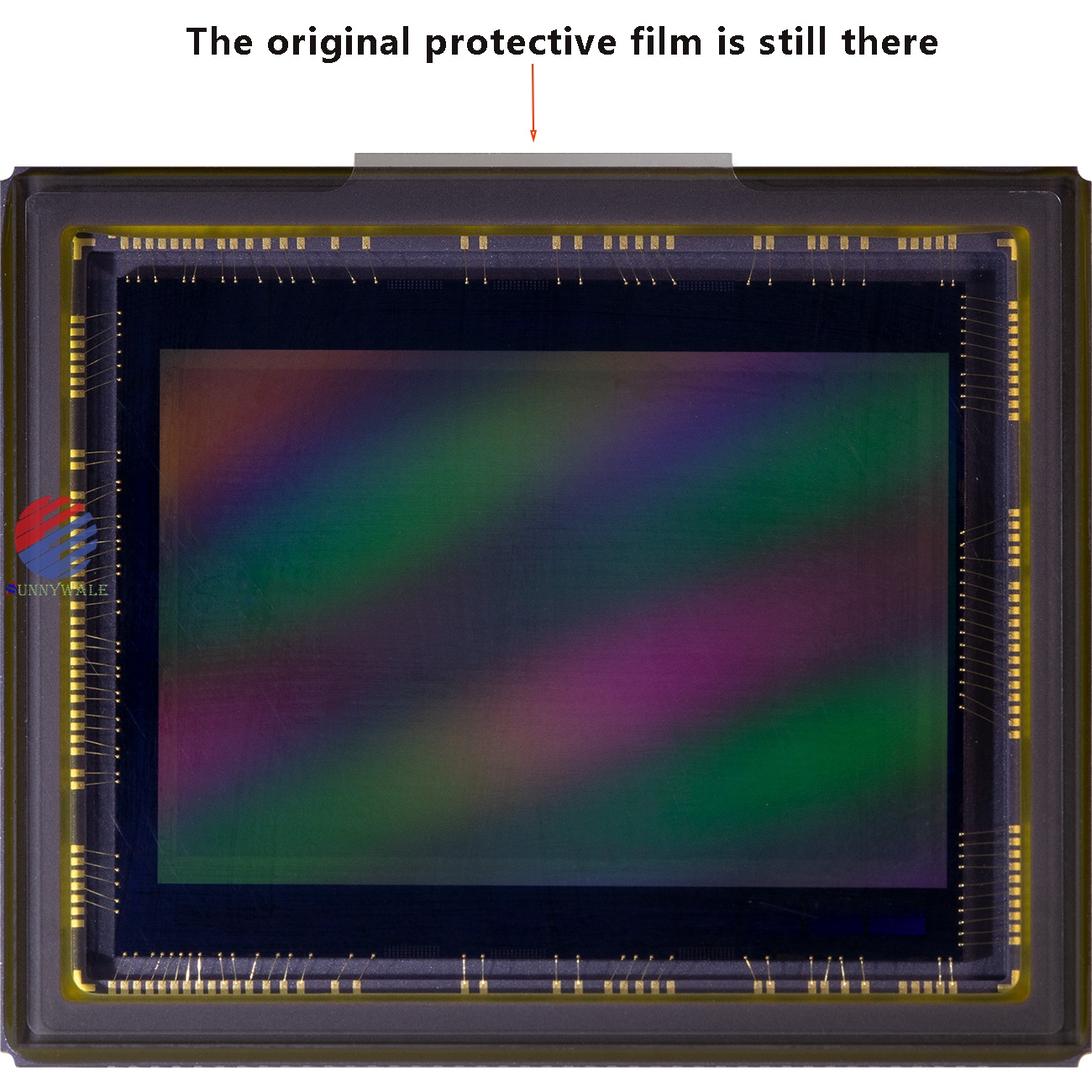 SLR micro single mirrorless camera CMOS APS-C image sensor