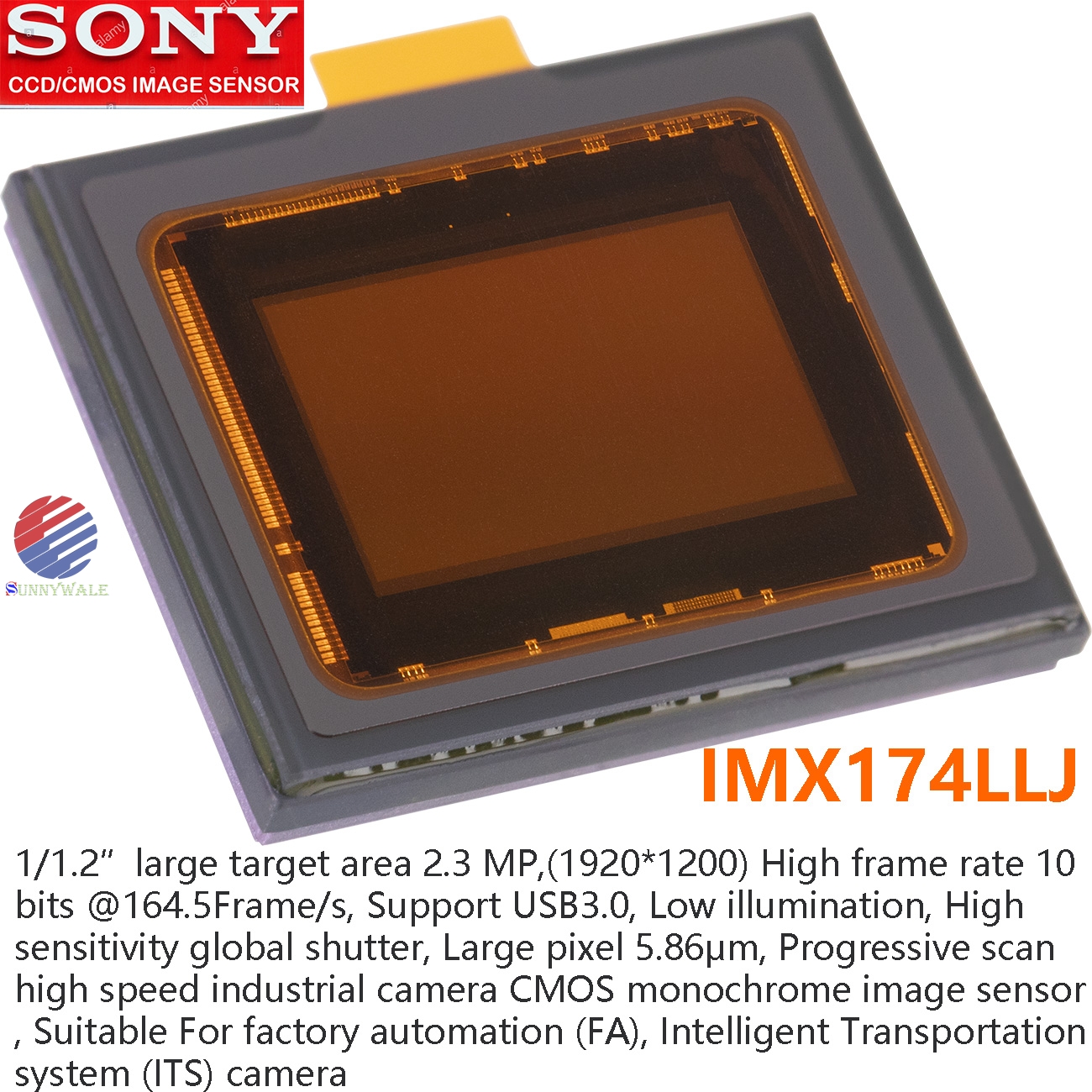 IMX174LLJ datasheet