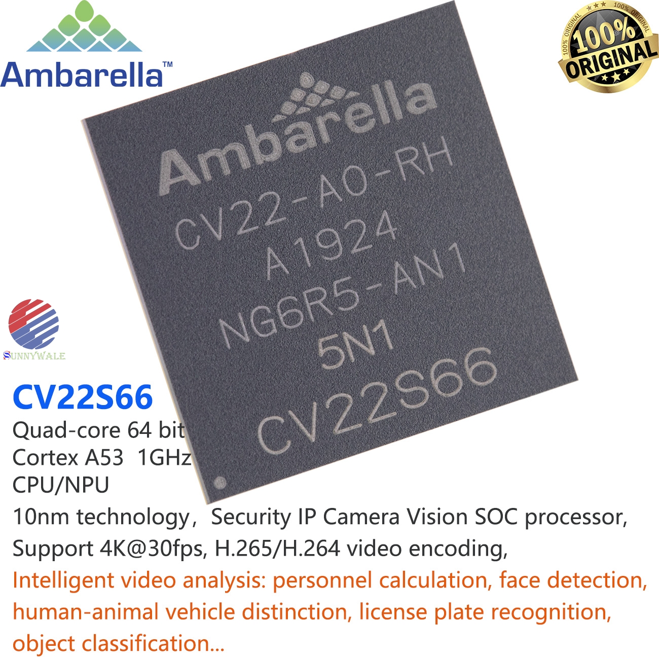 CV22S66-A0-RH datasheet