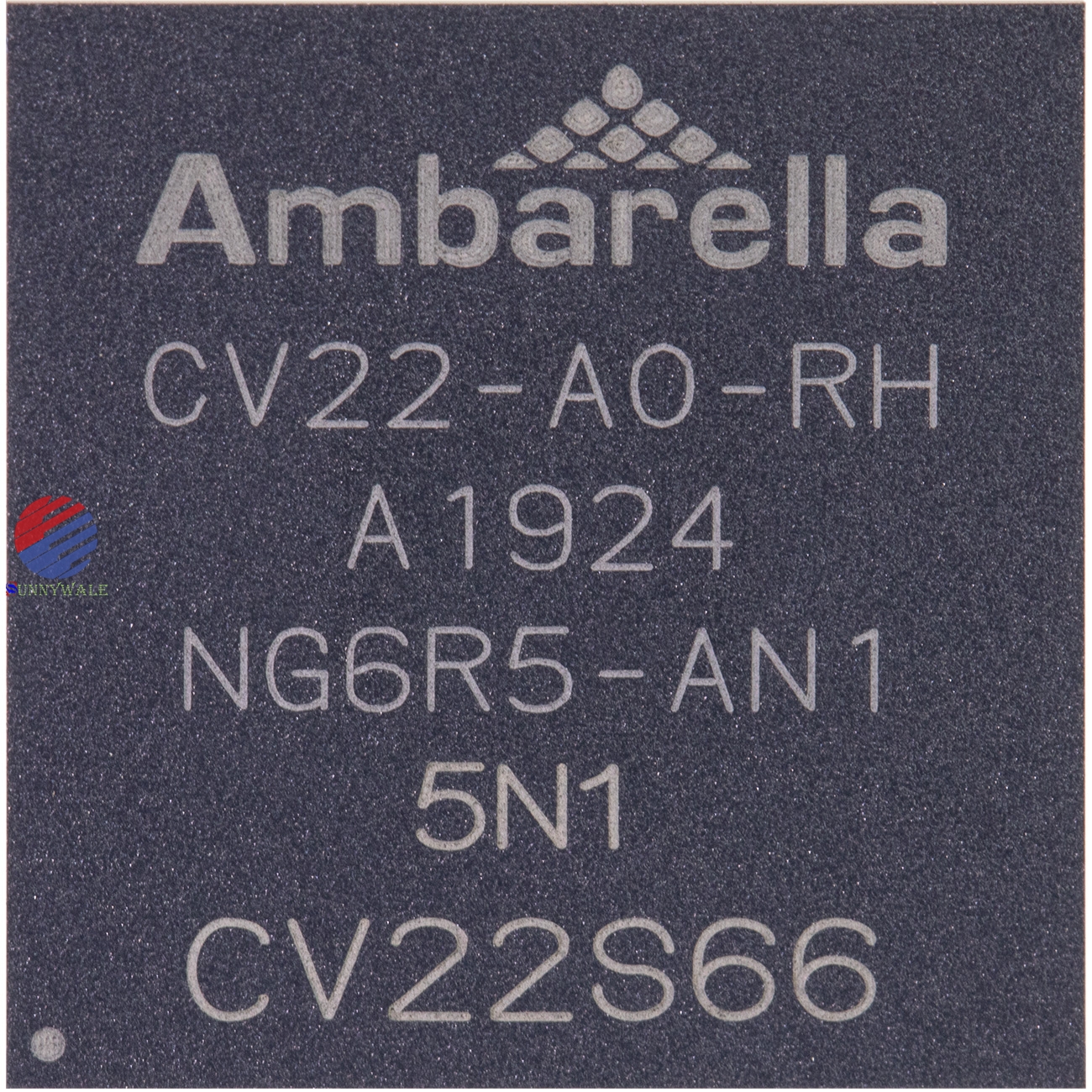 Ambarella 10nm technology SOC