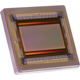 LUX19HSM LUXIMA 4/3 2 megapixel (2MP) 2500 frames/s monochrome global shutter CMOS ultra-high speed image sensor for machine vision, 3D scanners, industrial cameras