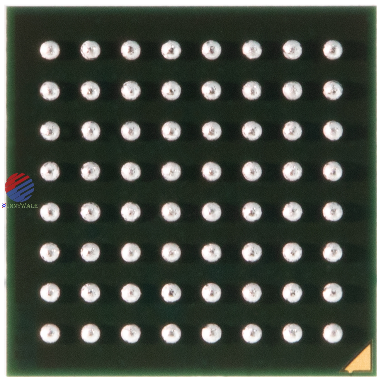 OmniVision endoscope bridge processing chip